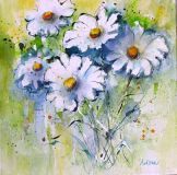 Margeriten 30 x 30