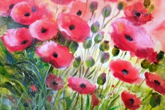 Mohn 60 x 60 Acryl