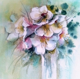 Amaryllis Aquarell auf Leinwand 30x30