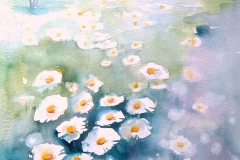 Margeritenwiese Aquarell 39x 56