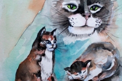 Katzen Aquarell  50x 60