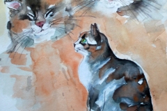 Katzen IAquarell  40x50